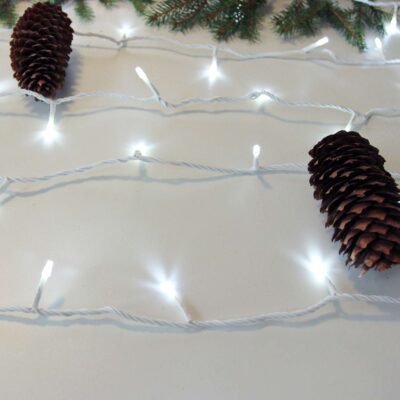 kaledines_LED_girliandos_4_EC-0050F-ST-WW