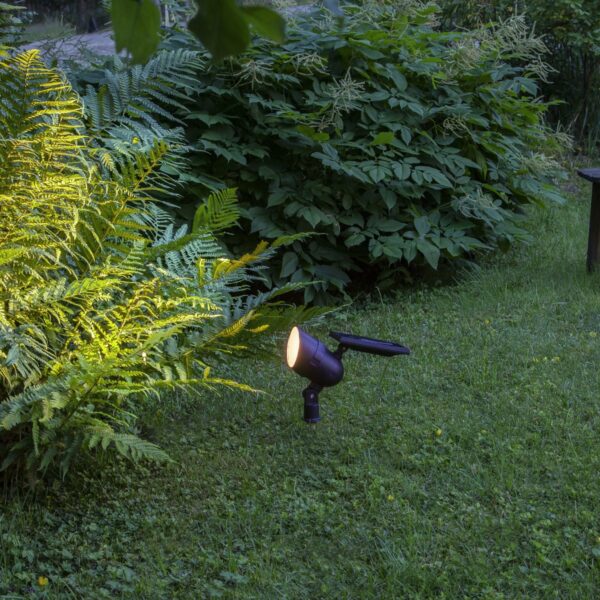 481-69 spotlight zibintas solar