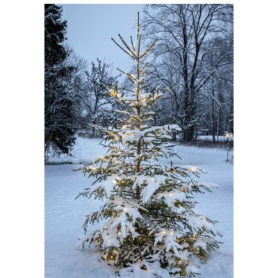 590-81,590-84_MB_004