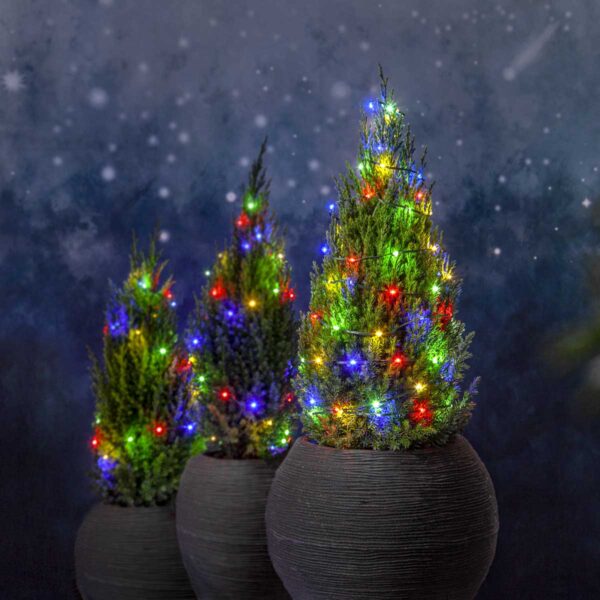 590-80,590-83_MB_003