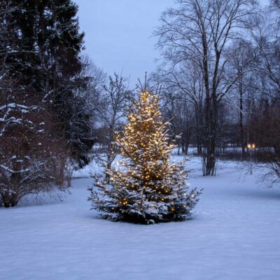 Jõulupuu CHRISTMAS GOLDEN WHITE 360LED (Kopija)